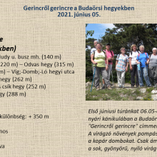 2021.06.05. Budaörsi hegyek - Gerincről gerincre